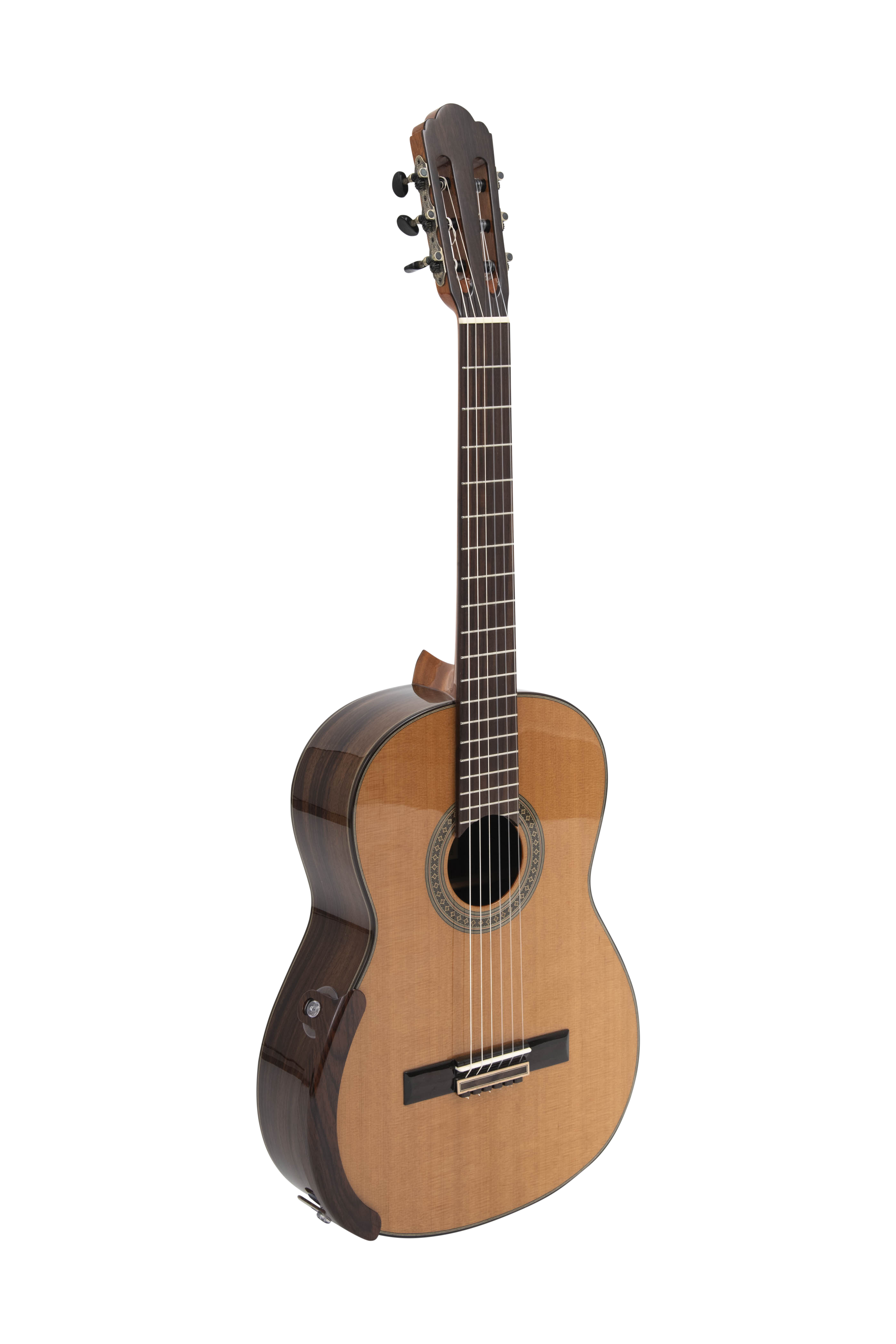Spruce or Cedar: Understanding Classical Guitar Top Woods