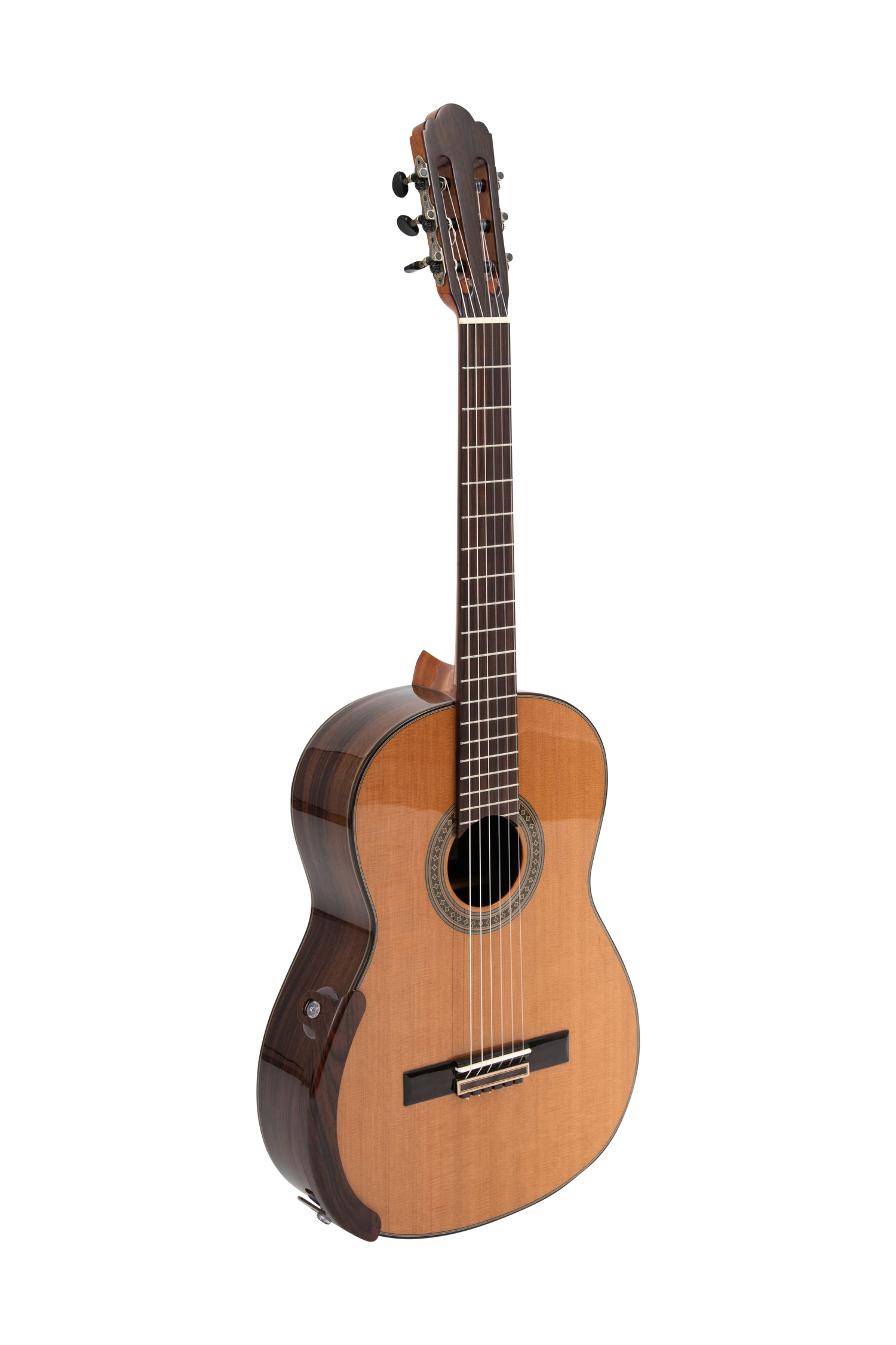 Spruce or Cedar: Understanding Classical Guitar Top Woods