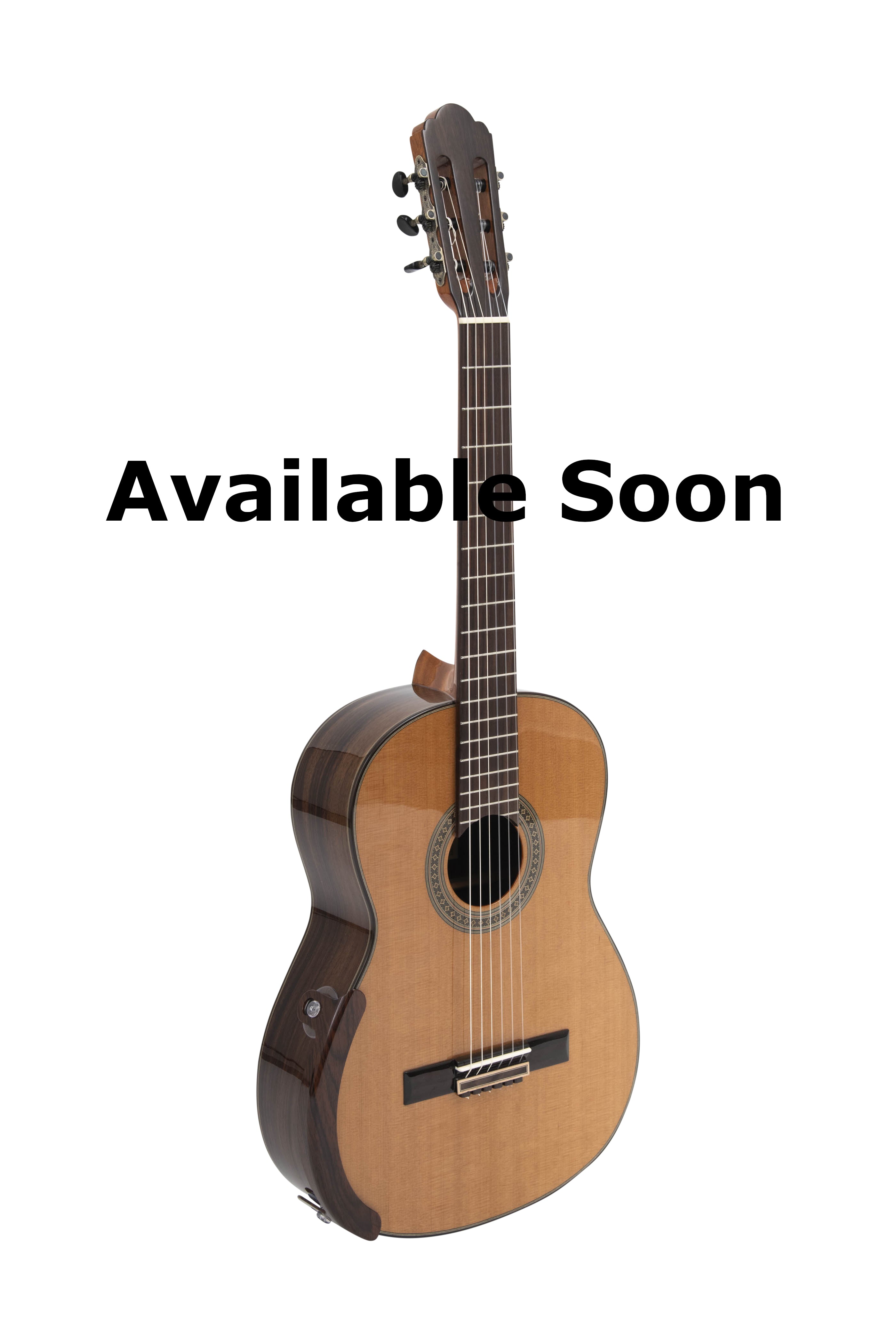 Rinaldo Vacca Double Top Classical Guitar – Available in 2025 (Coming Soon)