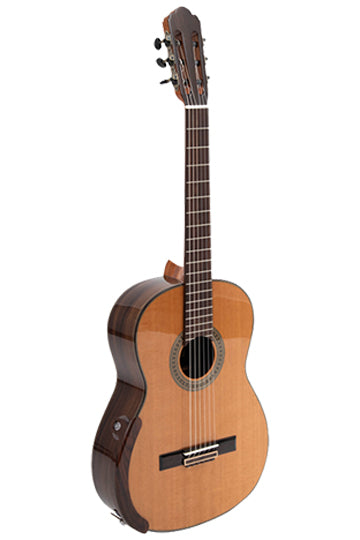 Classical guitar with a spruce top and mahogony body and dark brown neck on a white background
